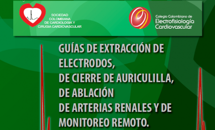 Guía para extracción de electrodos, cierre de auriculilla