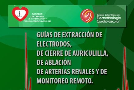 Guía para extracción de electrodos, cierre de auriculilla